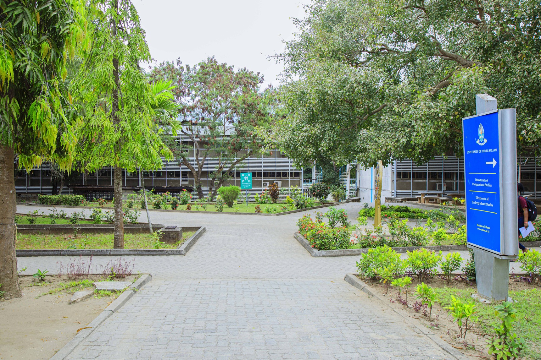 udsm-wins-national-recognition-for-green-excellence-secures-second